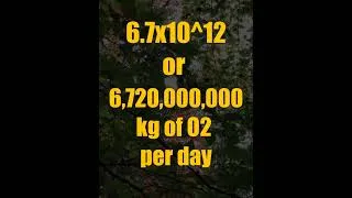 Thumbnail: How long could we survive without plants?