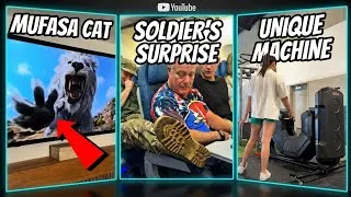 Thumbnail: 3 Unbelievable Moments Caught On Camera! 😱 (Soldier Surprise & Mufasa Cat)