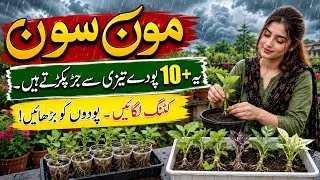 Thumbnail: 10+ Permanent Plants To Grow From Cutting In July|Grow Indoor Plants Cutting|Monsoon Gardening Ideas