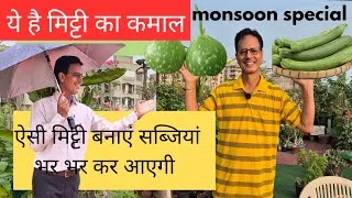 Thumbnail:  powerful soil for grow vegetables | Monsoon vegetables | Grow seeds | Rooftop organics 