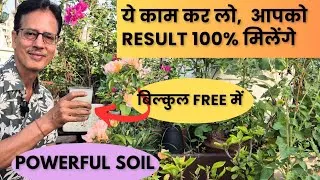 Thumbnail: मिट्टी में microbes को कैसे बढ़ाएं | powerful soil | Rice water | Boil rice for plants | Rooftop 