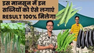 Thumbnail: Monsoon में कौन कौन सी सब्जियां लगाएं | seeds sowing | vegetable | Rooftop organics 