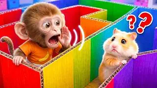 Thumbnail: 🐹Hamster Escapes the Rainbow Maze with Baby Monkey | Animal Song | Nursery Rhymes & Kids Songs