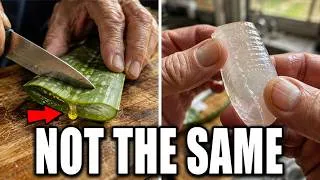 Thumbnail: BEFORE You Put Aloe Vera on Plants — Know These 7 Tricks (And 3 That Backfire)