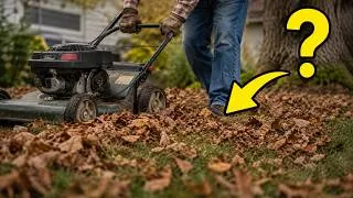 Thumbnail: Don’t Compost All Your Fall Leaves — Make THIS Instead