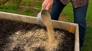 Thumbnail: Your Garden Should NEVER Be Empty in Fall — Grow Your Fertilizer Instead