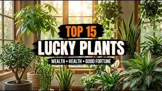 Thumbnail: Top 15 Lucky Plants for Wealth, Health & Good Fortune