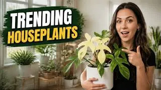 Thumbnail: Top 20 Houseplants Everyone Is Buying in 2026