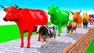 Thumbnail: Paint Animals Cow Cartoon Bull Yak African Buffalo Ox Bull Fountain Crossing Animal Transformation