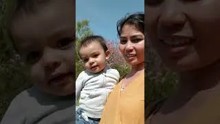 Thumbnail: The Den and The Glen | Scotland | Family Day Out 2023