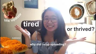 Thumbnail: life update! what happened during third year first sem?