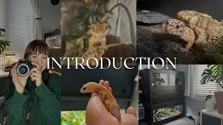 Thumbnail: Introduction - Rosie's Reptiles