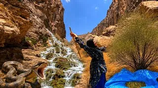 Thumbnail: 😲🌰 Harvesting Wild Almonds in the Zagros Mountains | The Real Life of Soghra, a Nomadic Woman 🏔️🌿
