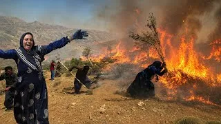 Thumbnail: The Whole Nomad Is Burning... Is Anyone Safe?