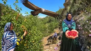 Thumbnail: 😱🏔️ Crossing Dangerous Mountain Trails to Pick Wild Fruits 🍇 | Soghra's Zagros Adventure 🌿