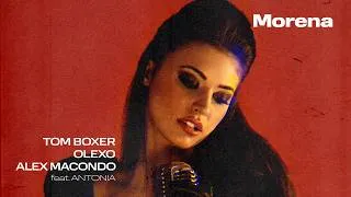 Thumbnail: Tom Boxer, OLEXO, Alex Macondo (feat. Antonia) - Morena | Visualizer