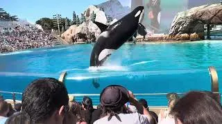 Thumbnail: ORCA ENCOUNTER AT SEA WORLD (KILLER WHALE SHOW)