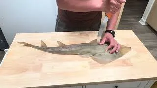 Thumbnail: HOW TO FILLET A GUITAR FISH!