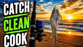 Thumbnail: CATCH! CLEAN! COOK! GUITAR FISH IN SAN DIEGO!