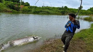 Thumbnail: 🎣 MONSTER PATAN FISH CATCH! 😱 | Giant Fishing Adventure | Royal Fisher 🎣🔥