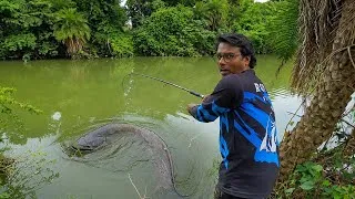 Thumbnail: BIG PATAN FISH CATCH! | Giant Boal Fishing | Wallago Attu Fishing 🎣🔥 #royalfisher