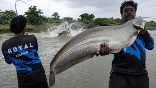 Thumbnail: 🎣 Monster Patan Fish Fishing | Giant Boal Catch | Wallago Attu Fishing 🌊 |