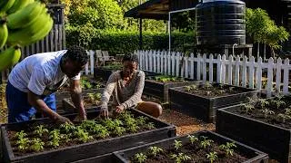 Thumbnail: A Peaceful Day Gardening and Cooking Outdoor Ft @EarthenWayAfrica &@lifewithchakua | Offgrid Life.