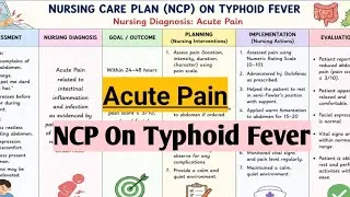 Thumbnail: NCP on Acute Pain in Typhoid Fever | Nursing Care Plan | BSc Nursing | GNM