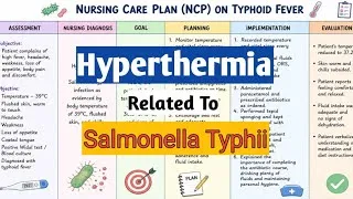 Thumbnail: “Nursing Care Plan on Hyperthermia Related to Salmonella Typhi Infection (Typhoid Fever)”