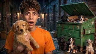 Thumbnail: Our Most EMOTIONAL Animal Rescues.. | The Royalty Family