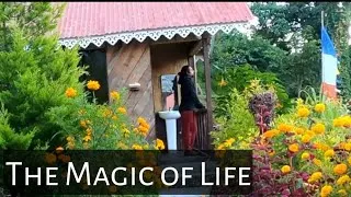 Thumbnail: Simple ways to find Real Happiness #spirituality #vlog #happiness