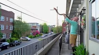 Thumbnail: Jon's 8pm Music