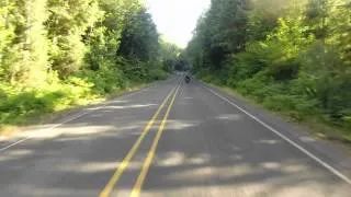 Thumbnail: Treetop Highway