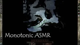 Thumbnail: ASMR Icewind Dale RPG Playthrough - Part 2