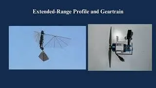 Thumbnail: Flapping Wing Uav