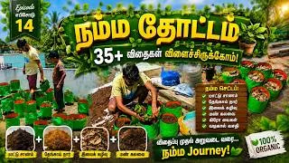 Thumbnail: 🌱நம்ம மாடித்தோட்டத்தில் 🌱35+ Seeds Planted! 😱 Maadi Thottam | Terrace Garden | Gardening Ideas Tamil