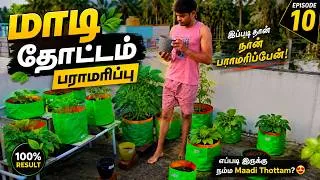 Thumbnail: Terrace Garden Maintenance 🌱 மாடித்தோட்டம் பராமரிப்பு Plant Care & Gardening Tips | Maadi Thottam