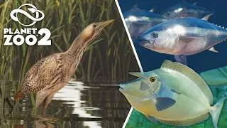 Thumbnail: A bird, some fish and many Comebacks! Zoopedia Update