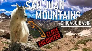 Thumbnail: BACKPACKING TRAIN RIDE ADVENTURE | SAN JUAN MOUNTAINS | CHICAGO BASIN | DURANGO SILVERTON TRAIN