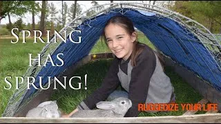 Thumbnail: Narrow Gate Farm - Spring 2020 update. What have we been up to lately?