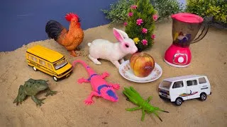 Thumbnail: Animal Wala Cartoon Video 