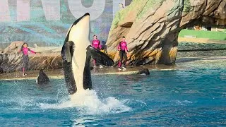 Thumbnail: Light up the Night (Full Show) in 4K at SeaWorld San Diego July 13, 2026