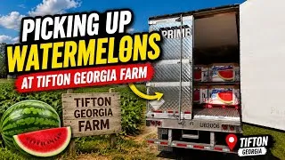Thumbnail: Picking Up Watermelon 🍉 At 📍Tifton, Georgia Farm 