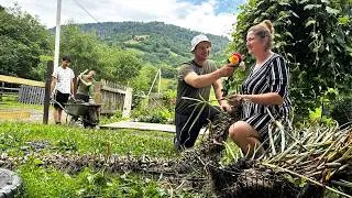 Thumbnail: The Happiest Day in the Carpathians ❤️ Son Returns Home, Homemade Lunch & Building a New Fence