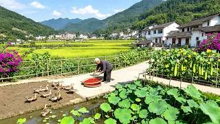 Thumbnail: China’s Most Beautiful Valley Village ‑ Crowd‑Free Rural Walk in Chongqing