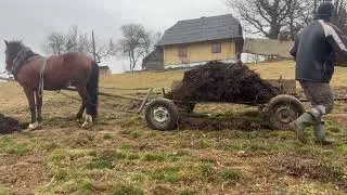 Thumbnail: Rural life in the mountains ⛰️young family🧑‍🧑‍🧒 preparation for the new season🥔