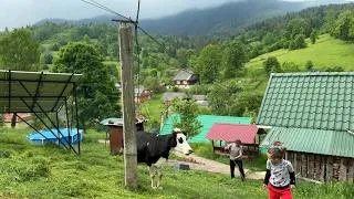 Thumbnail: Life in the silence of the mountains🏔️ Carpathian style of simple life of a large family