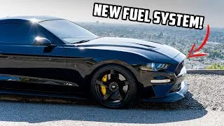 Thumbnail: Whipple Mustang fuel system is here!! Trackhawk Purchase UPDATE...