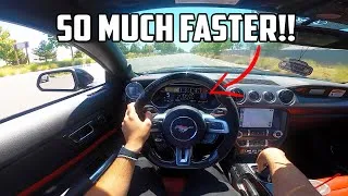 Thumbnail: MY WHIPPLE SUPERCHARGED MUSTANG GT UPDATE MORE MODS!!