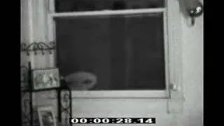 Thumbnail: The real Jeff Peckman alien video?